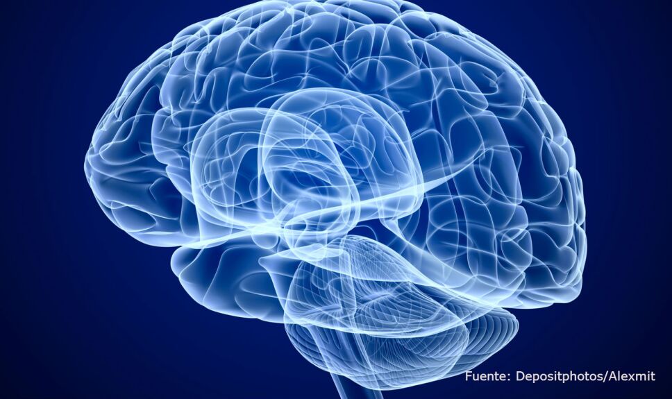 cerebro