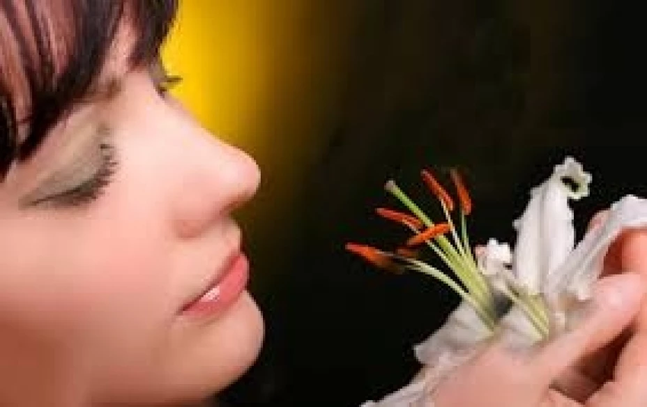 La pérdida del sentido del olfato resultó predecir la muerte con mayor precisión que un diagnóstico de cáncer, insuficiencia cardíaca o enfermedad pulmonar.