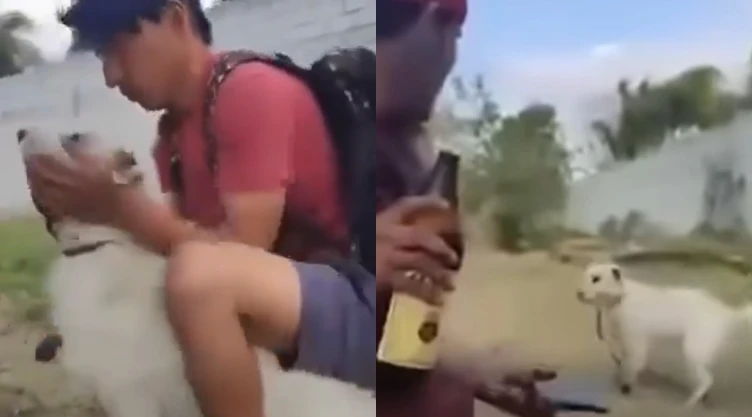 ¡Maltrato contra lomito! Obligan a perrito a beber cerveza en Hidalgo