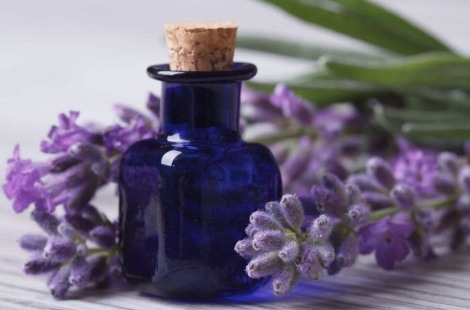 aceite lavanda
