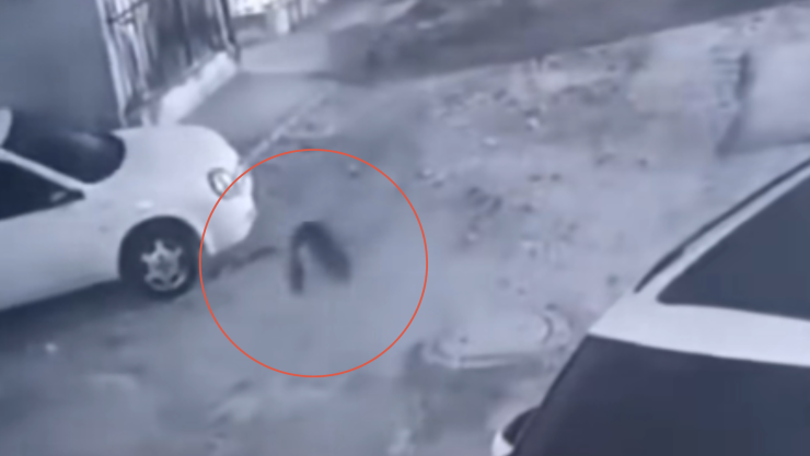 Fantasma o error en la matrix.png