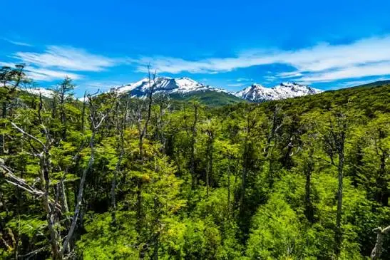 Cómo es la Patagonia de Argentina: imágenes impresionantes de los paisajes que muchos no conocen