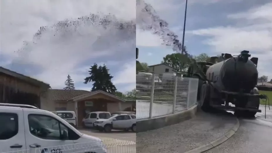 Agricultores arrojan estiércol