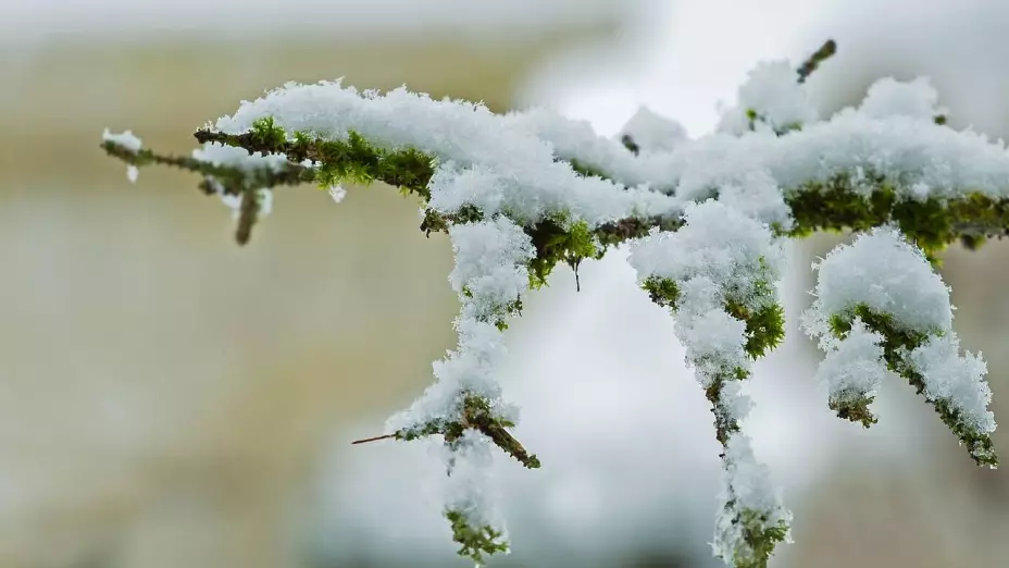 Ya viene el frente frío número 15 que dejará bajas temperaturas ¿Cuándo ingresa y cómo afectará a Veracruz?