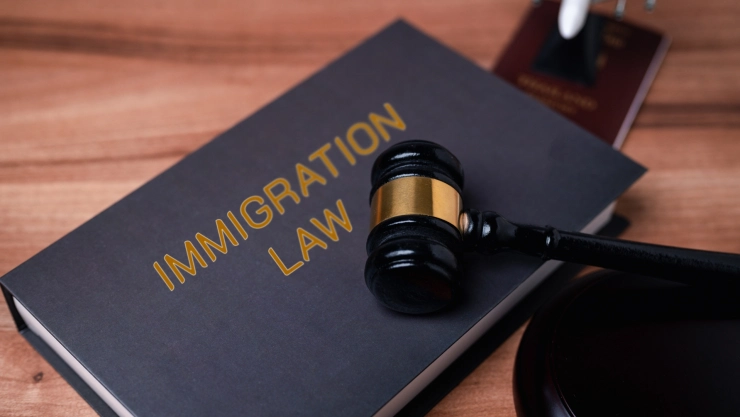 Ley de inmigración y un mazo de juez.