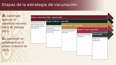etapas-campaña-vacunacion.jpg