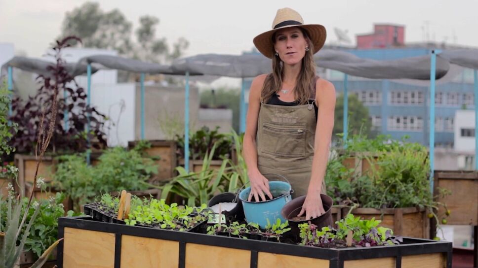 Fenix Farms.jpg