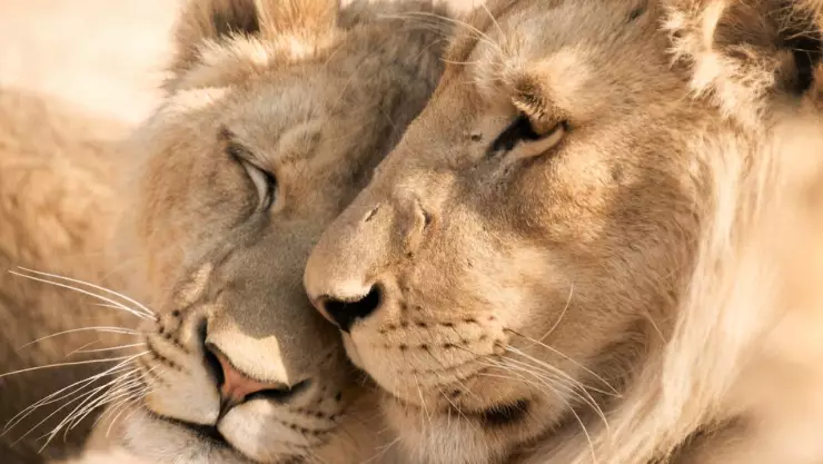 Efemérides del 10 de agosto: ¿Qué sucedió en México y el mundo?