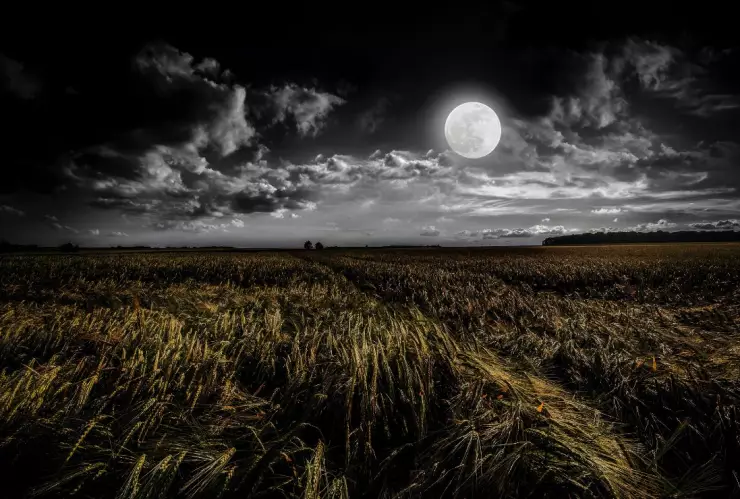 Luna de maíz o luna de cosecha 2022 ¿Qué es y cómo ver este fenómeno.