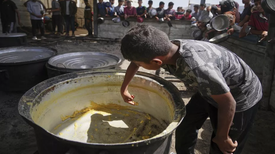 ORIENTE MEDIO-GUERRA-COOPERANTES