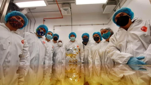 Proyecto Colmena UNAM Luna