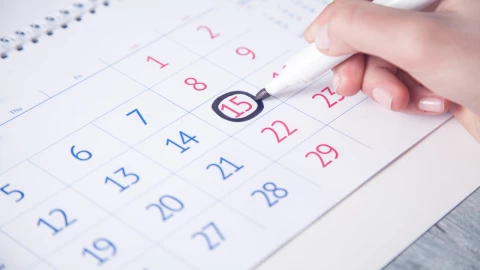 Calendario escolar SEP 2024-2025: Fechas de puentes, vacaciones y Consejo Técnico