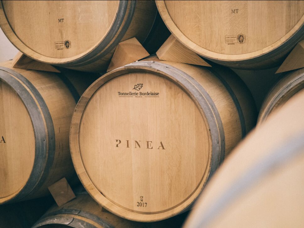 vinos pinea barrica