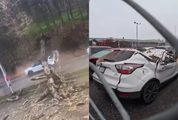 La camioneta quedó destrozada.