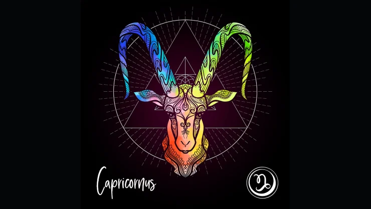 Signo Capricornio 1