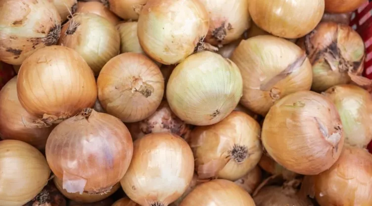 Precio de la cebolla alcanza los 60 pesos el kilo: ¿Por qué subió en México? Regiones más caras