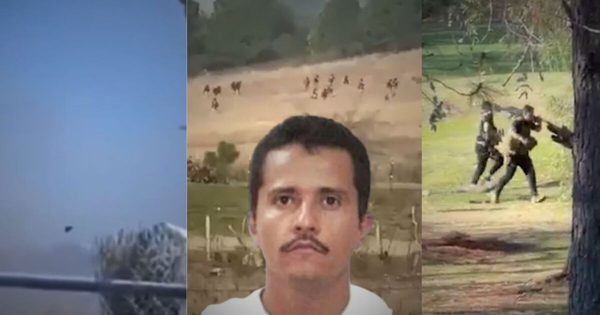 Mecho Capture VIDEO: Captan parte del operativo para capturar a