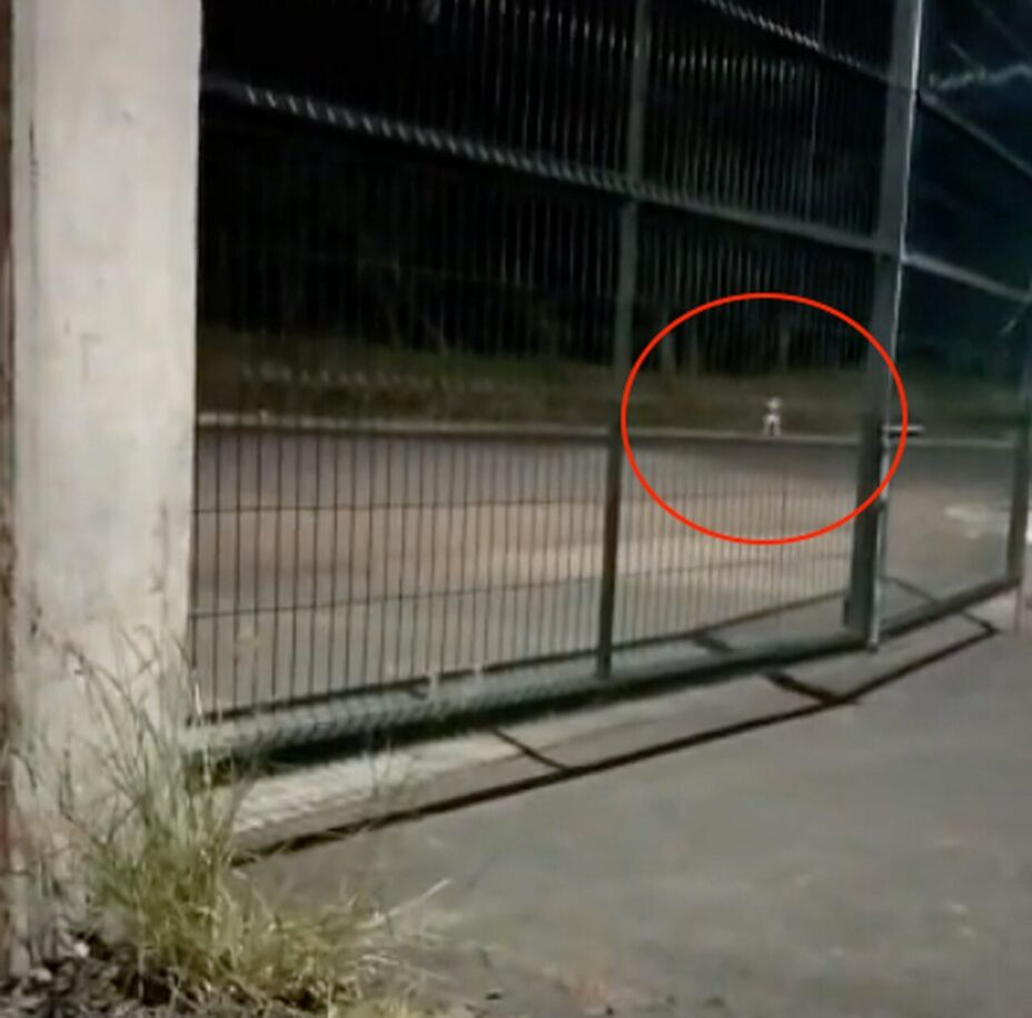 VIDEO Traileros reportan aparición de fantasma en Veracruz