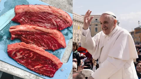 El Papa Francisco pide comer menos carne para salvar al medio ambiente.