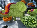 Festival Flores y Jardinería 2022 Polanco