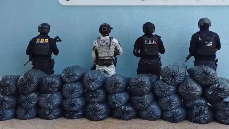 Aseguran 170 kilos de marihuana en Quechultenango, Guerrero