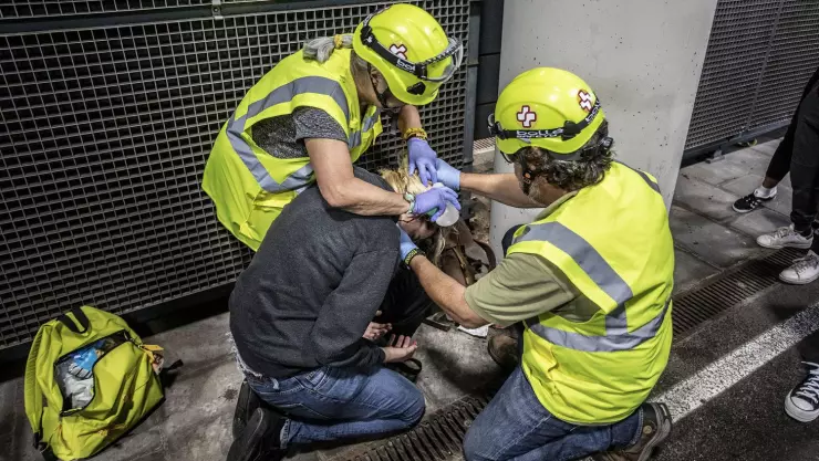 _MG_9823-1 copia.jpg