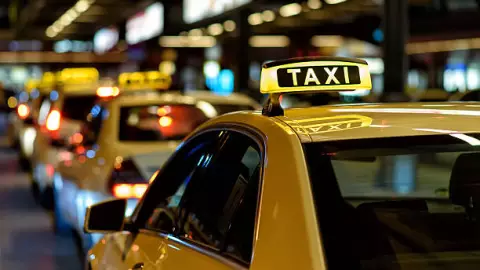 perrita chihuahua recibe dinero de clientes en taxi.jpg