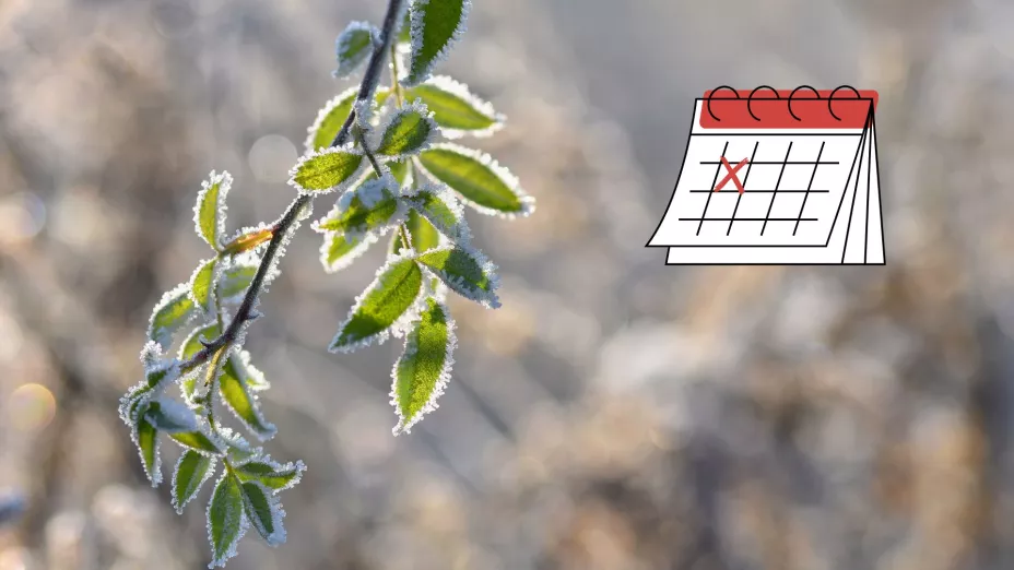 Clima en Aguascalientes ¿Cuándo llega la masa de aire frío y cómo afectará