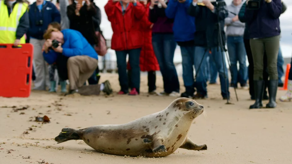 CLIMA ESPECIES AMENAZADAS