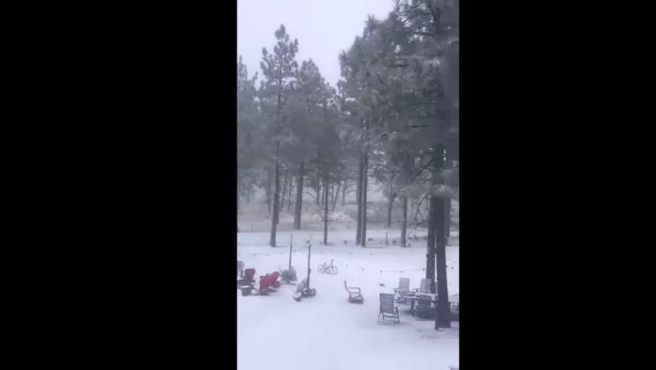 Primera nevada Sierra Juárez