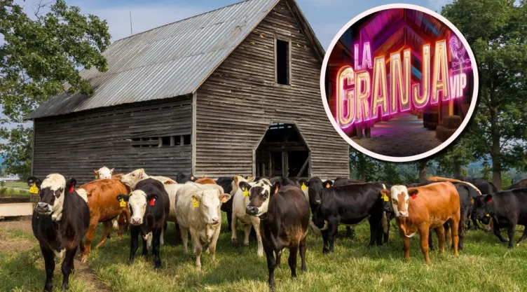Qué trabajo te toca en el establo de La Granja VIP según tu cumpleaños.