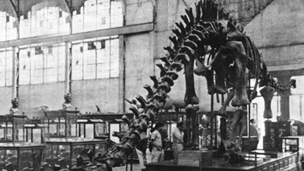 Dinosaurio