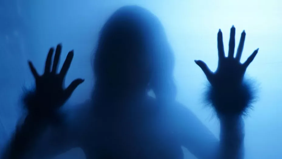 Actriz que inició en el reality de La Academia y que hoy es de las más queridas en Hollywood.jpg