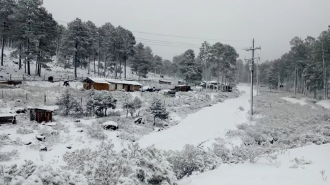 el-lugar-mas-frio-en-mexico-segun-ia-la-rosilla