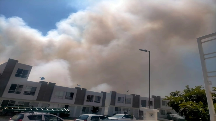 INCENDIO Bosques de Chapultepec