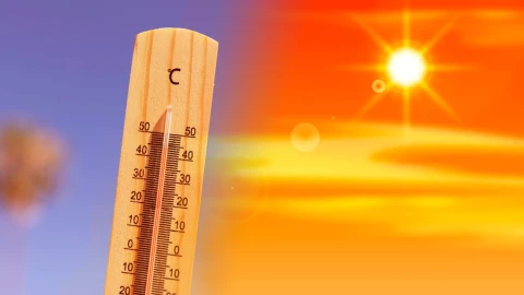 Calor extremo canícula.jpg