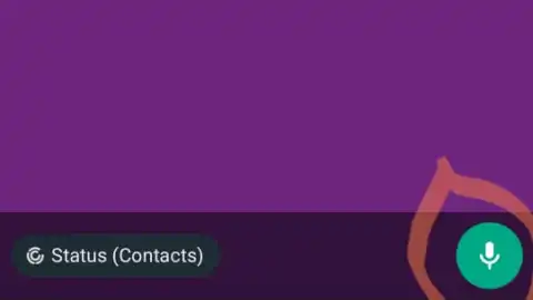 whatsapp-ventana-estados-mensaje-voz