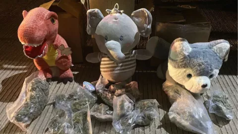 Tres peluches de dinosaurio, elefante y perrito que contenían posible marihuana en su interior