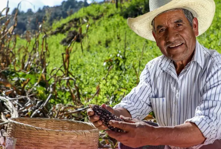 Descubre si eres beneficiario del programa Bienestar con estos pasos