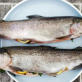 Esta es la cantidad de pescado que puedes comer a la semana