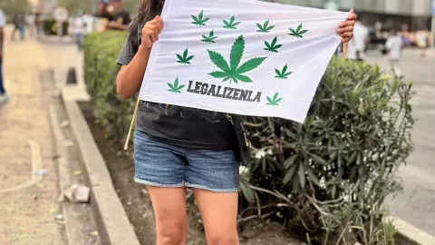 D&iacute;a Mundial de la Marihuana 2025