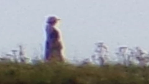 Fantasma de mujer victoriana en cementerio.jpg