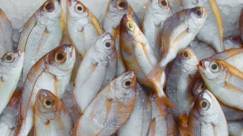 mujer coe pescado contaminado