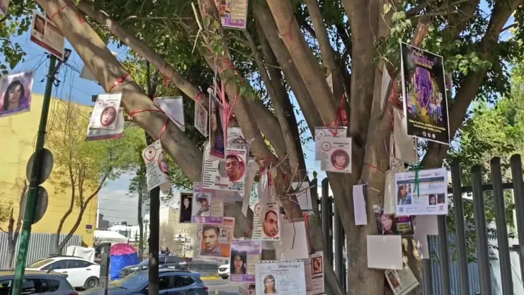 Otro árbol dentro del CAIBP en la Ciudad de México en el que colocaron fichas de búsqueda debido a que se quedaron sin espacio en el de navidad.