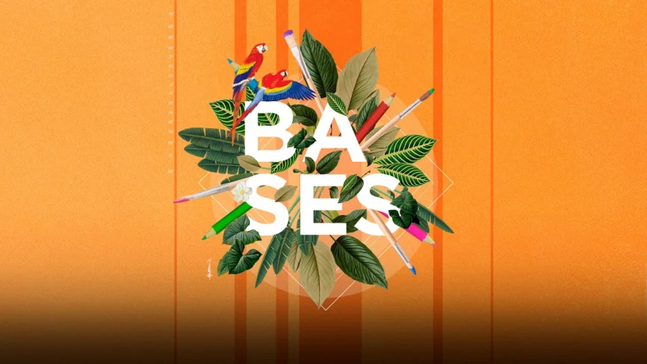 Bases