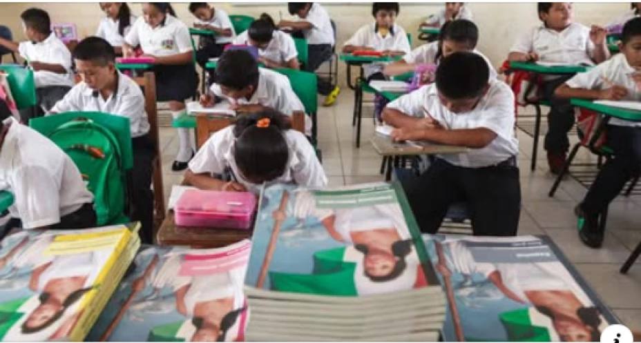 Mexicanos Primero Facebook.png