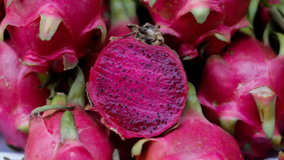 Pitaya