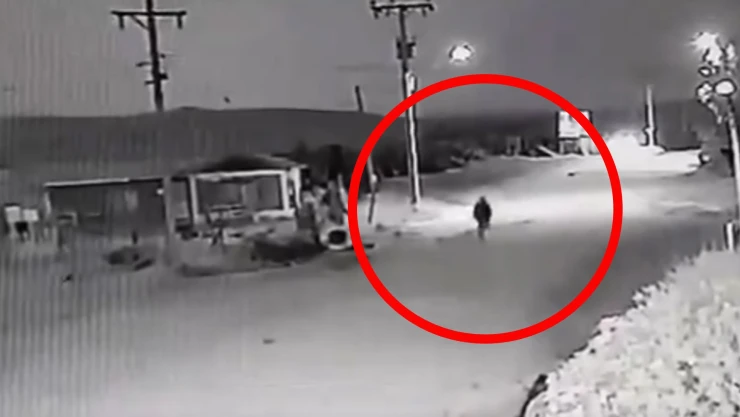 ¿Es un nahual? El video del perro que se transforma en humano: Viral
