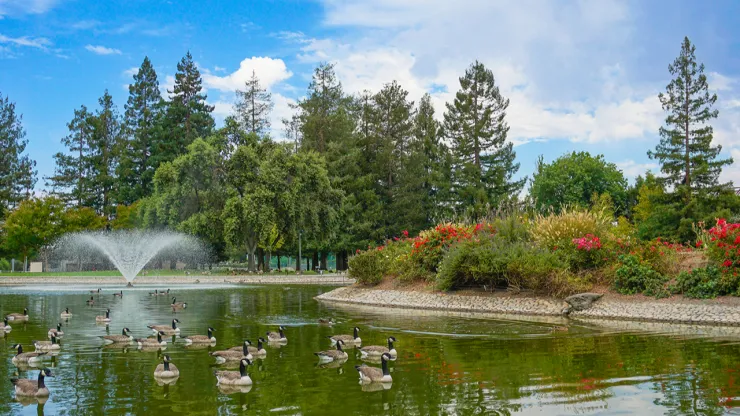 Central Park Santa Clara, California