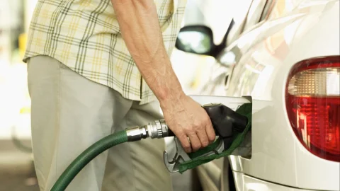 gasolina